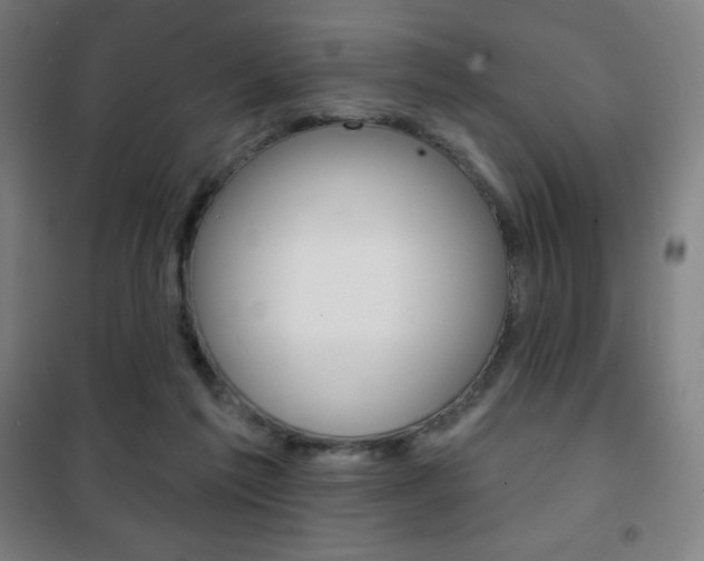 X0000101700213200807101353