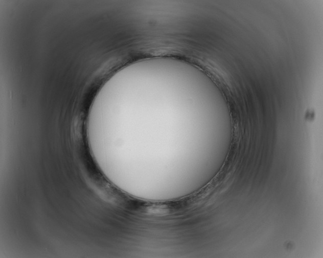 X0000101700214200807101353