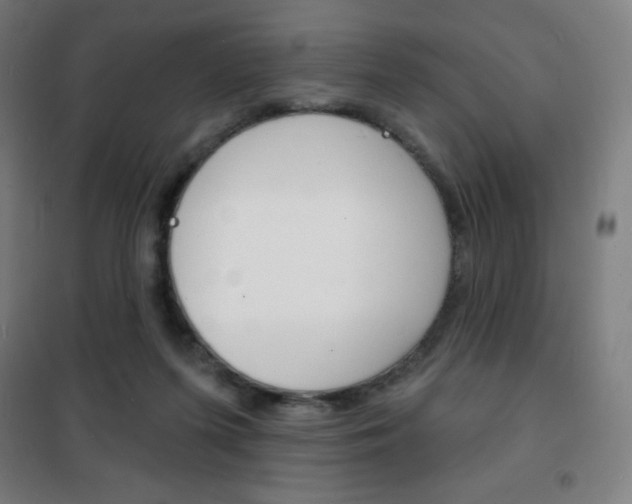 X0000101700215200807101353