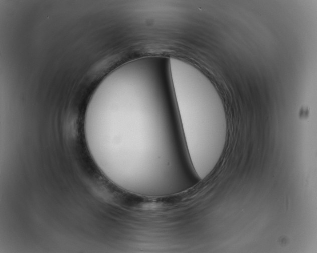 X0000101700216200807101353