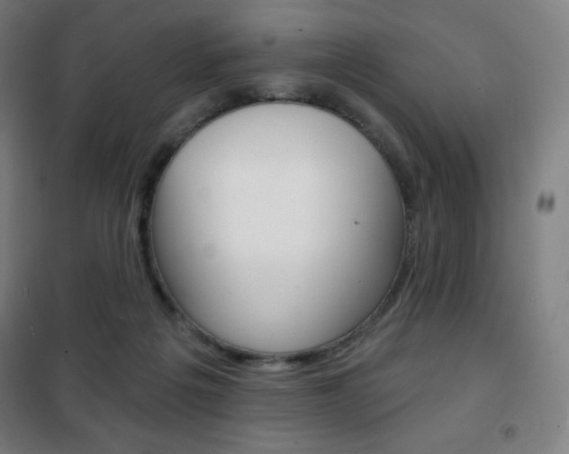 X0000101700217200807101353