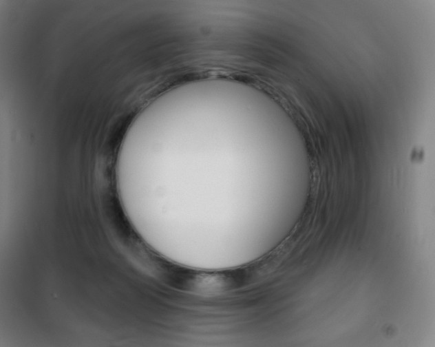 X0000101700218200807101353