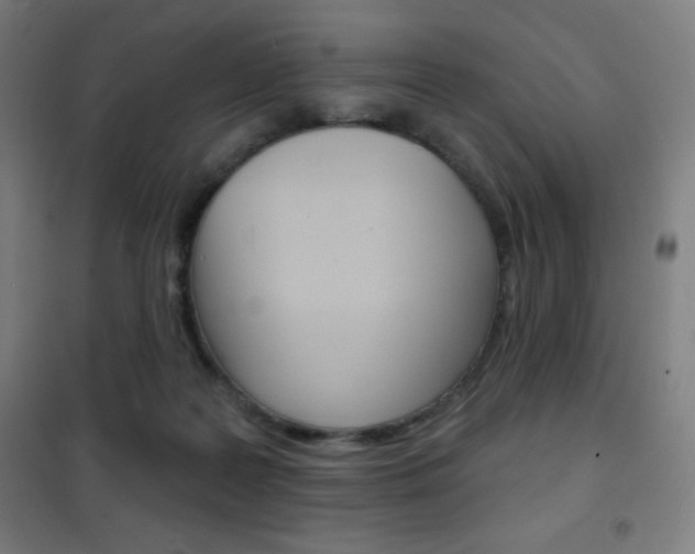 X0000101700219200807101353