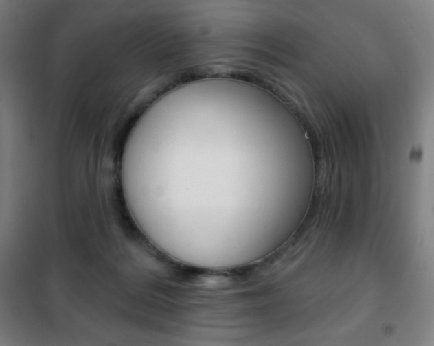 X0000101700220200807101353