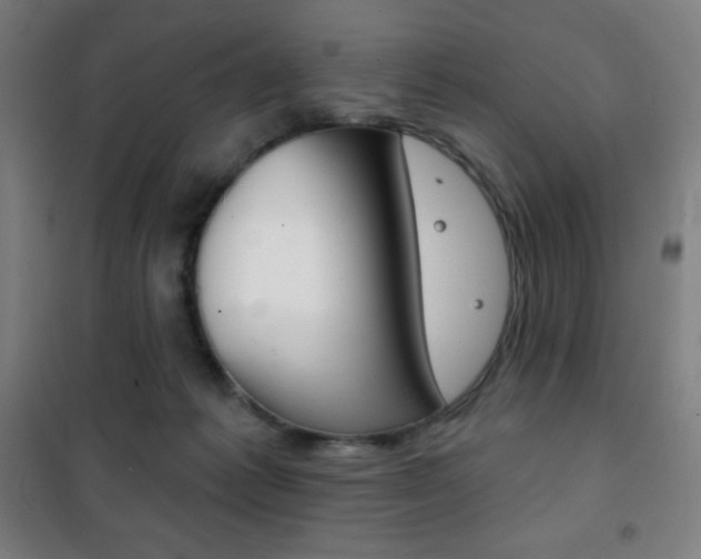 X0000101700221200807101353