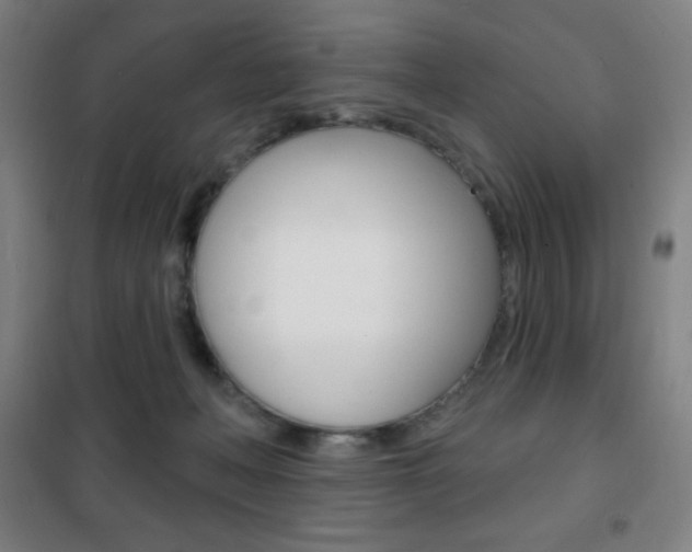 X0000101700222200807101353