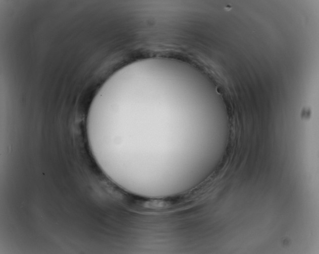 X0000101700225200807101353