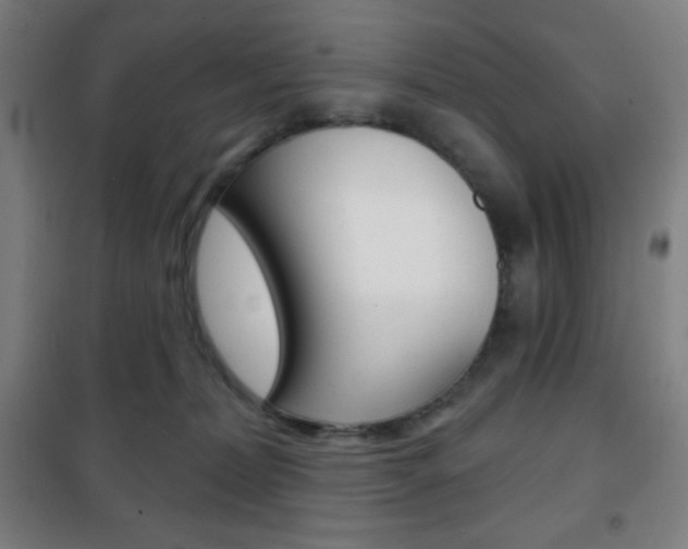 X0000101700228200807101353