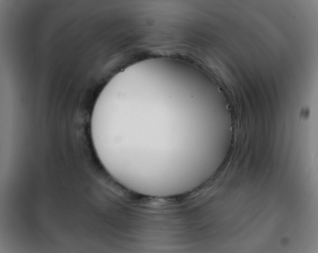 X0000101700229200807101353
