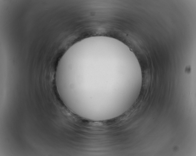 X0000101700230200807101353
