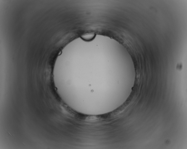 X0000101700231200807101353