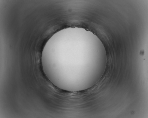 X0000101700232200807101353