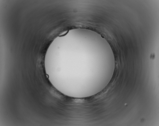 X0000101700233200807101353