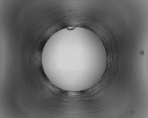 X0000101700234200807101353