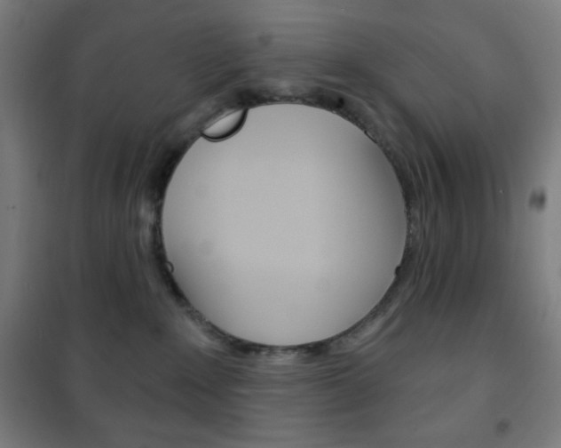 X0000101700235200807101353