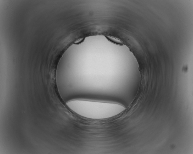 X0000101700236200807101353