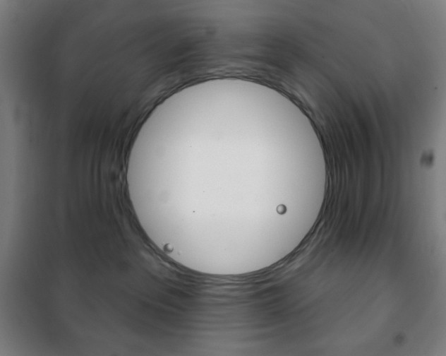 X0000101700237200807101353