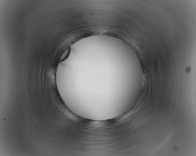 X0000101700238200807101353