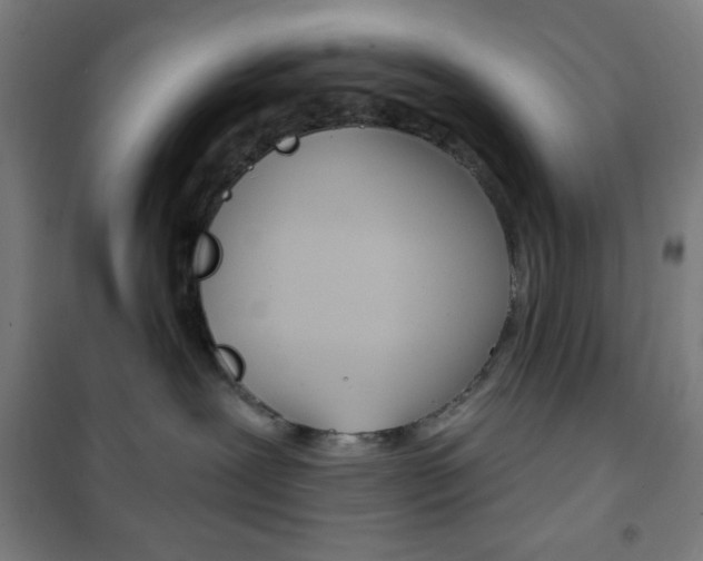 X0000101700239200807101353