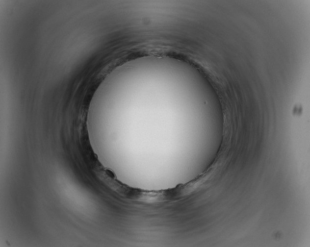 X0000101700240200807101353