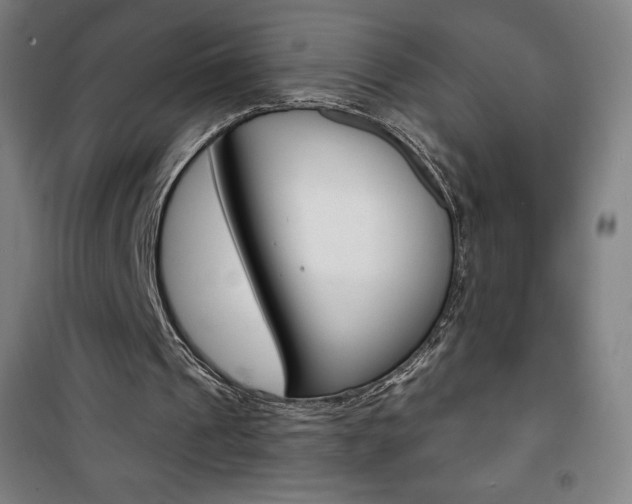 X0000101700241200807101352