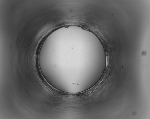 X0000101700243200807101352