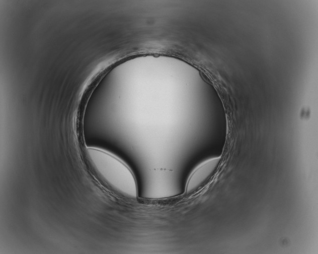 X0000101700244200807101352