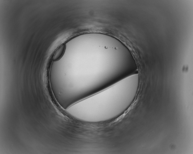 X0000101700245200807101352