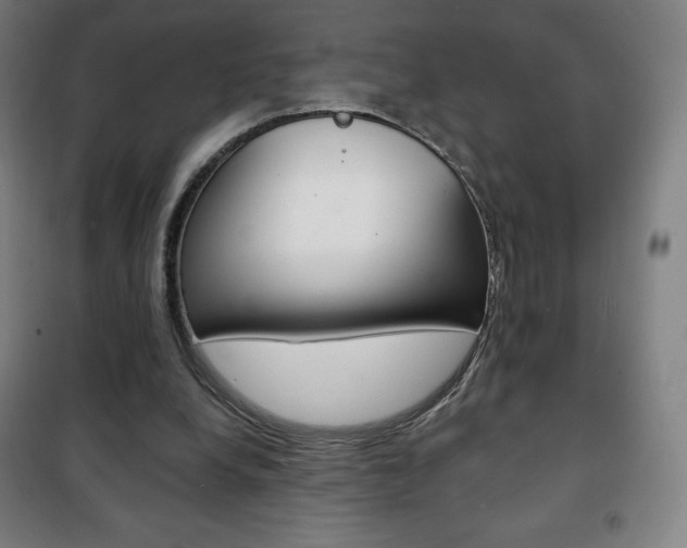 X0000101700248200807101352