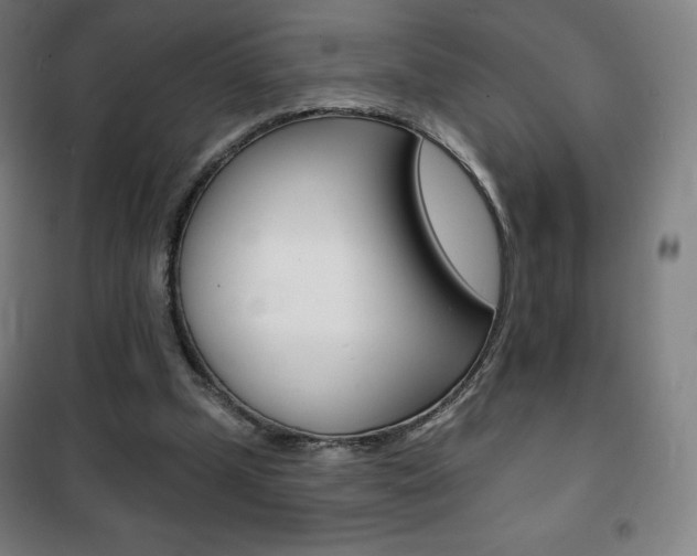 X0000101700249200807101352