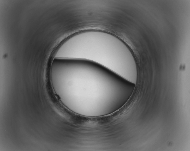 X0000101700252200807101352