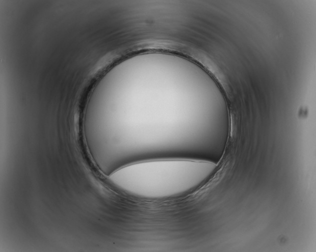 X0000101700253200807101352
