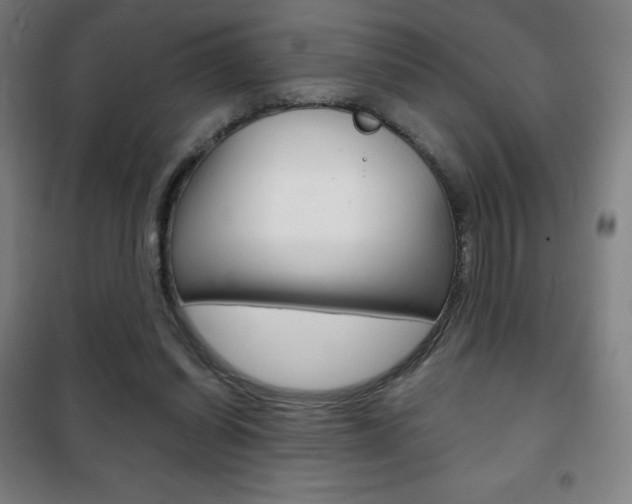 X0000101700254200807101352