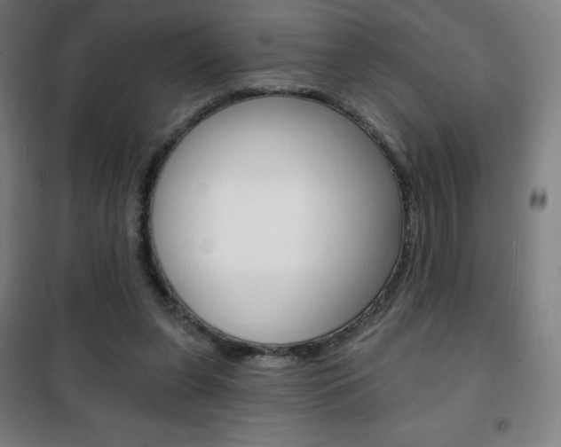 X0000101700255200807101352