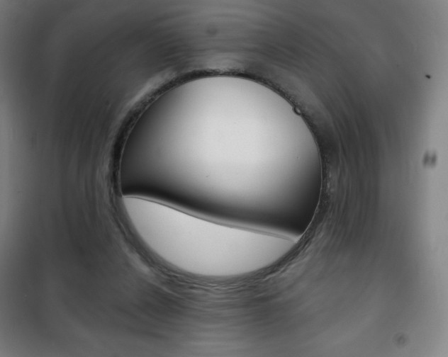 X0000101700256200807101352