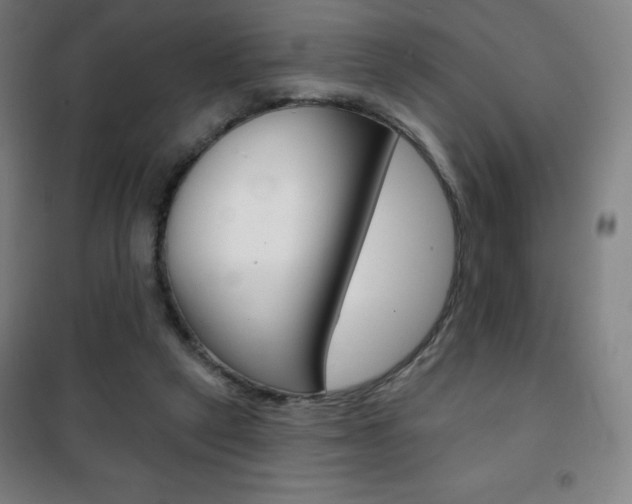 X0000101700257200807101352