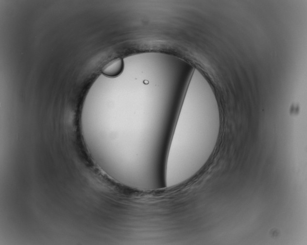 X0000101700258200807101352