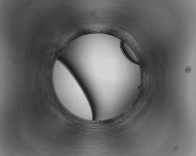 X0000101700259200807101352
