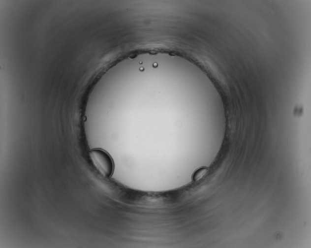 X0000101700260200807101352