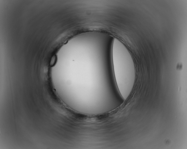 X0000101700262200807101352