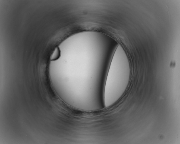 X0000101700263200807101352