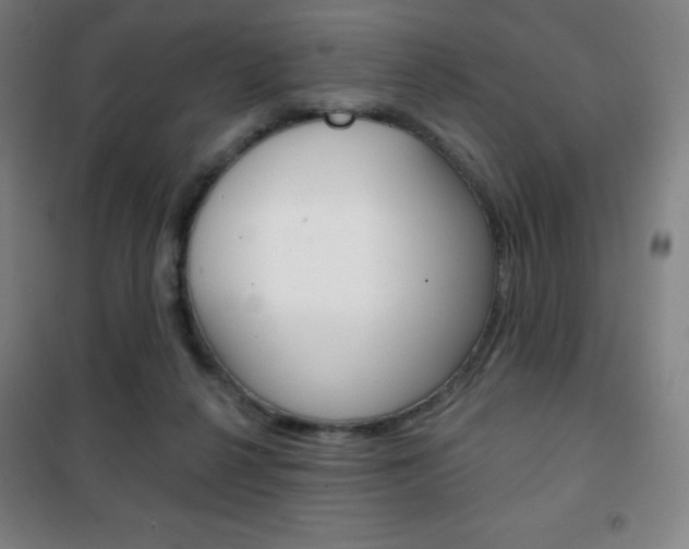 X0000101700264200807101352