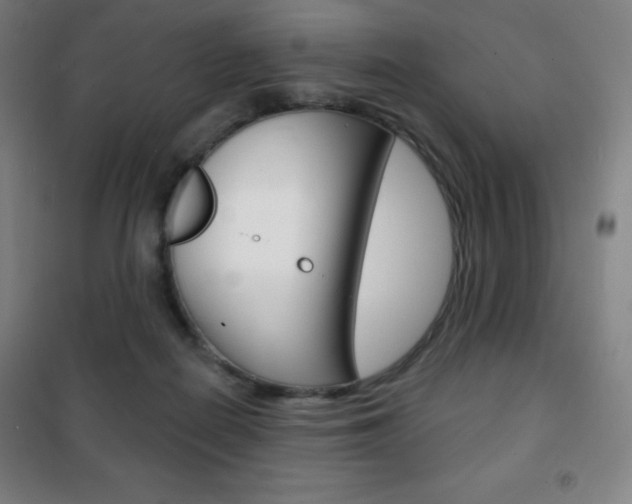 X0000101700266200807101352