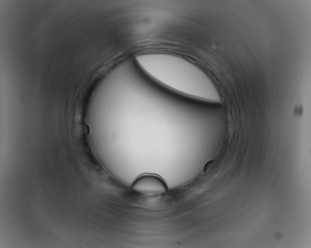 X0000101700267200807101352