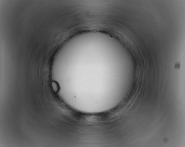 X0000101700268200807101352