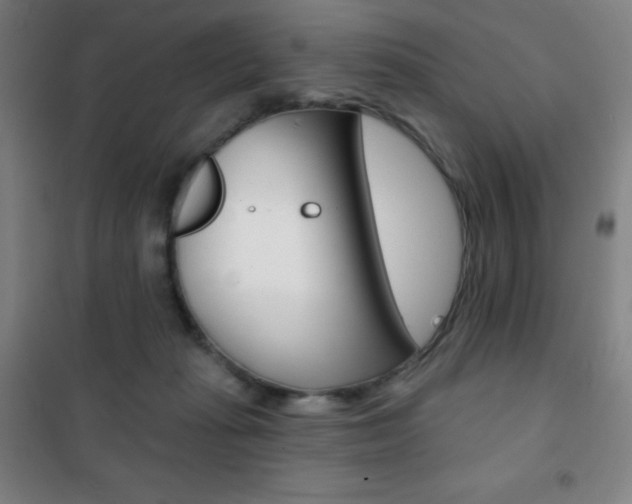 X0000101700269200807101352