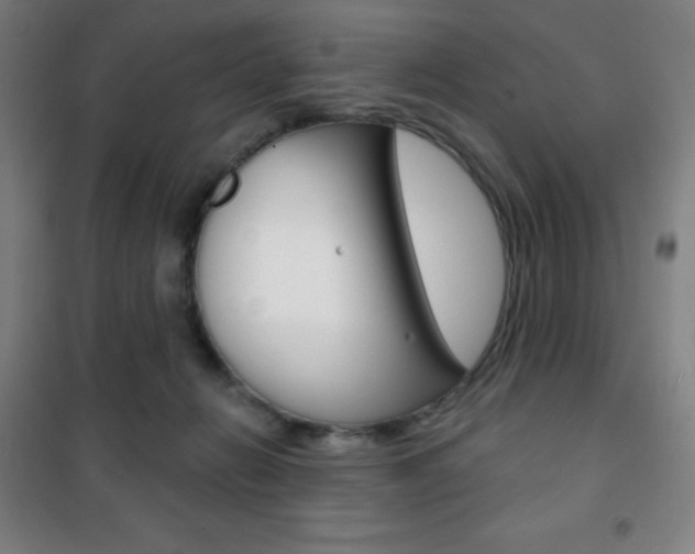 X0000101700270200807101352