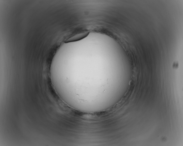 X0000101700272200807101352