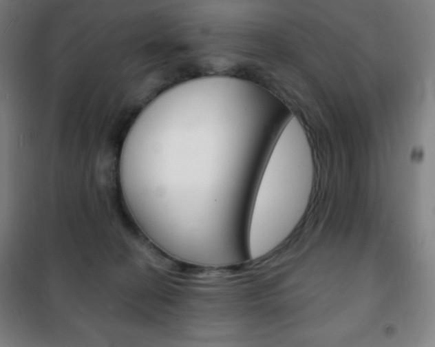 X0000101700274200807101352