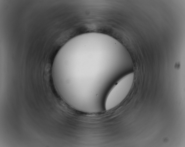 X0000101700275200807101352